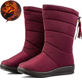 Vipkoala Winter Women Boots Ankle Boots Down Snow Boots Waterproof Tassel Winter Shoes Women Warm Fur Black Boots Female Botas Mujer