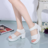 Vipkoala Summer New Fashion Elegant Chunky Heels Women's Sandals Casual Peep Toe Rubber Sole Non-slip Block Heels Ladies Black Heels