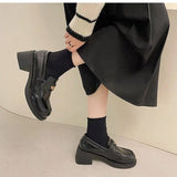 Vipkoala Women's Single Shoes Spring New Fashion Chunky Heel Black Women's Shoes Dress Students Mary Jane Shoes Lolita High Heels