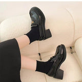 Vipkoala Women's Single Shoes Spring New Fashion Chunky Heel Black Women's Shoes Dress Students Mary Jane Shoes Lolita High Heels