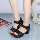 Vipkoala Summer New Fashion Elegant Chunky Heels Women's Sandals Casual Peep Toe Rubber Sole Non-slip Block Heels Ladies Black Heels