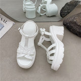 Vipkoala Ladies Sandals New Summer Fashion Concise High Heels Gladiator One-Line Buckle Sandals Open Toe Chunky Heel Sandals Ankle-Wrap