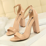 Sexy High Heels New Women Pumps Comfort Women Shoes Block Heels Ladies Shoes Buckle Women Heels Female Shoes Women Sandals