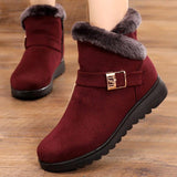 Women boots snow warm plush suede zipper winter boots women shoes woman ankle boots female no-slip Botas Mujer